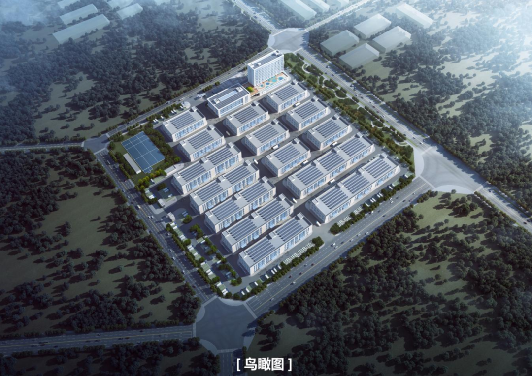 表扬信2.png