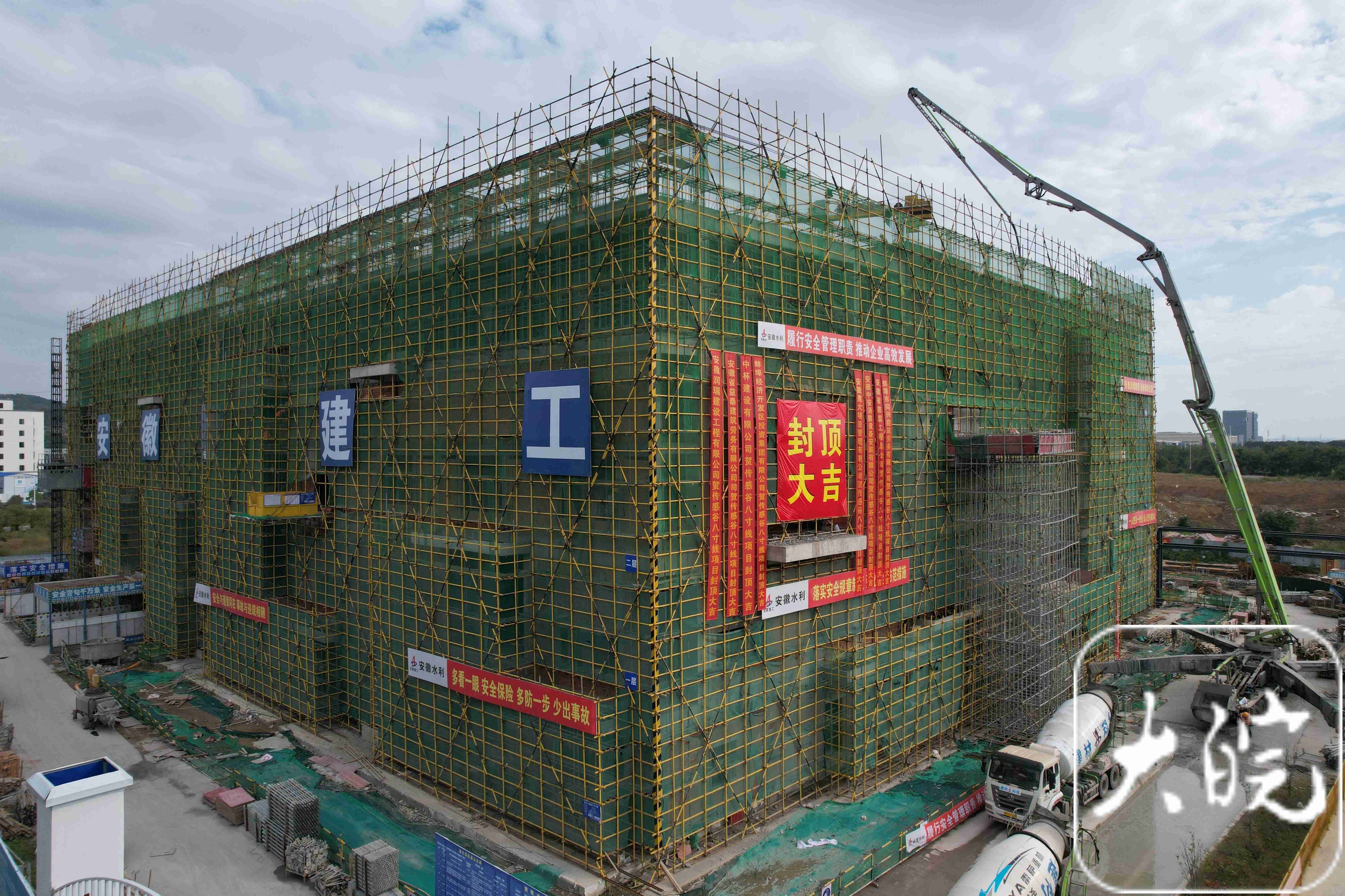大皖新闻11.jpg