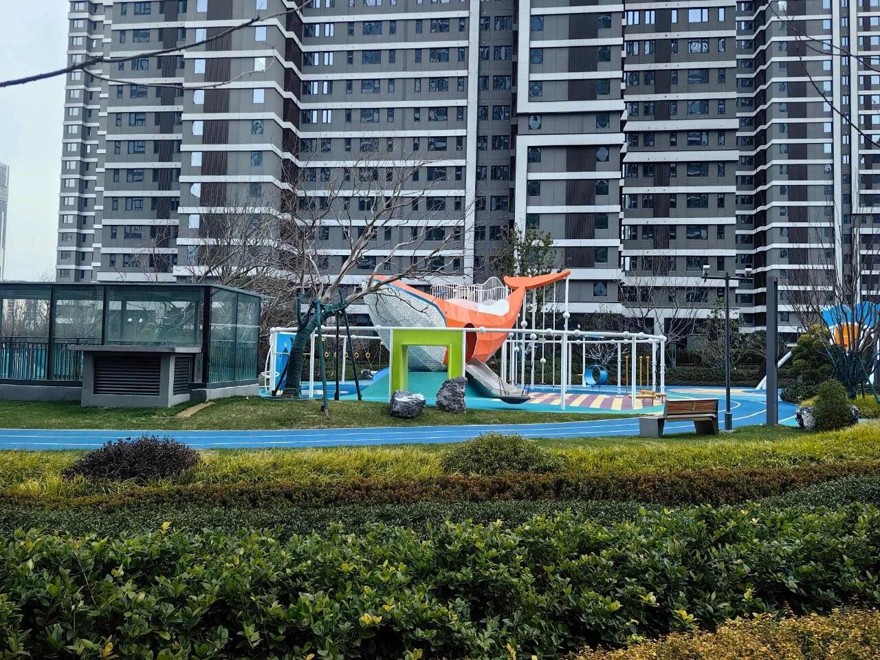 1768785904109490.jpg 1768785904109490.jpg