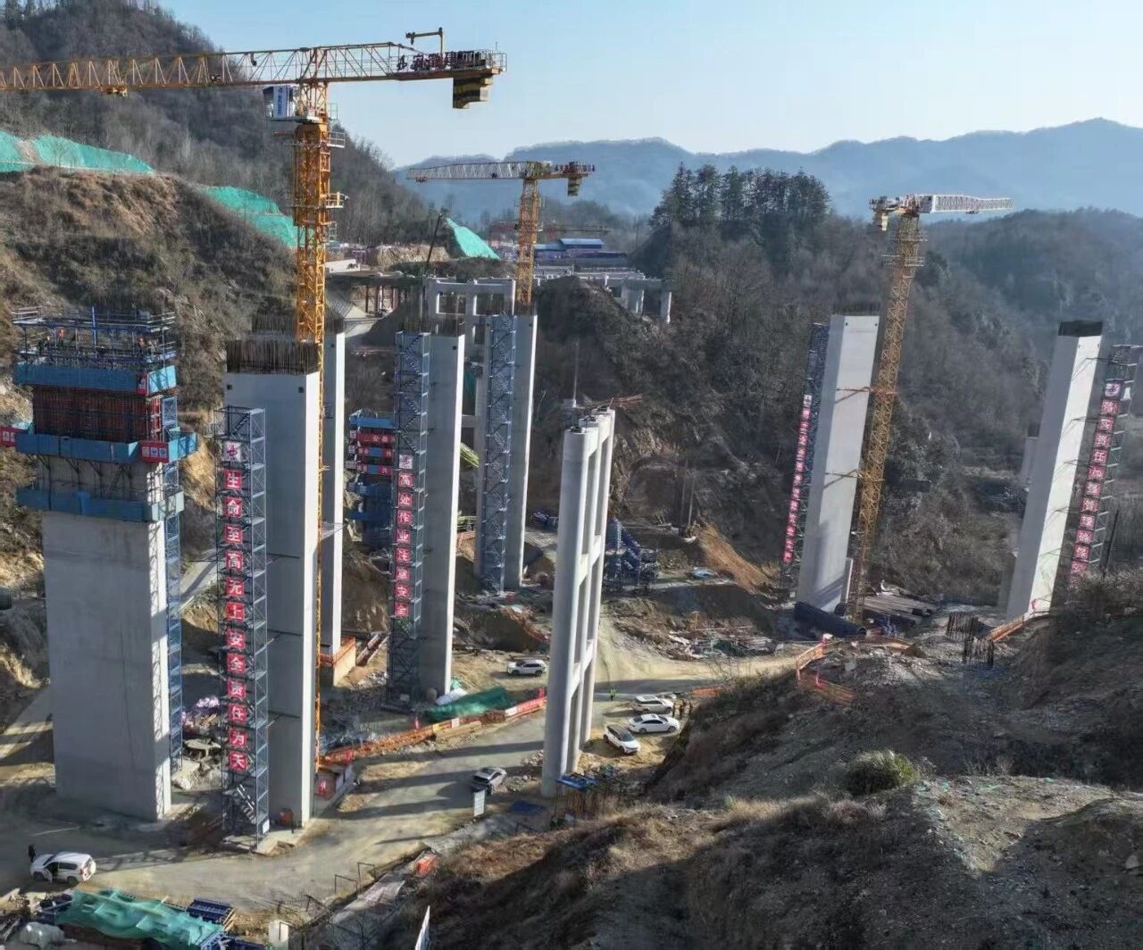 1773711430138712.jpg 1773711430138712.jpg