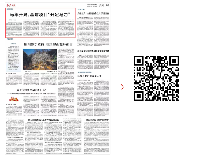 安徽日报截图.png