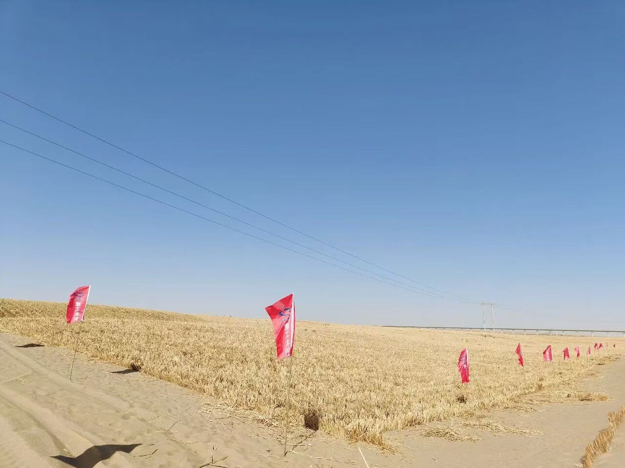 1779845960106043.jpg